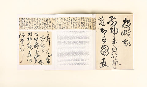 源流與析賞 Facets of Chinese Painting and Calligraphy